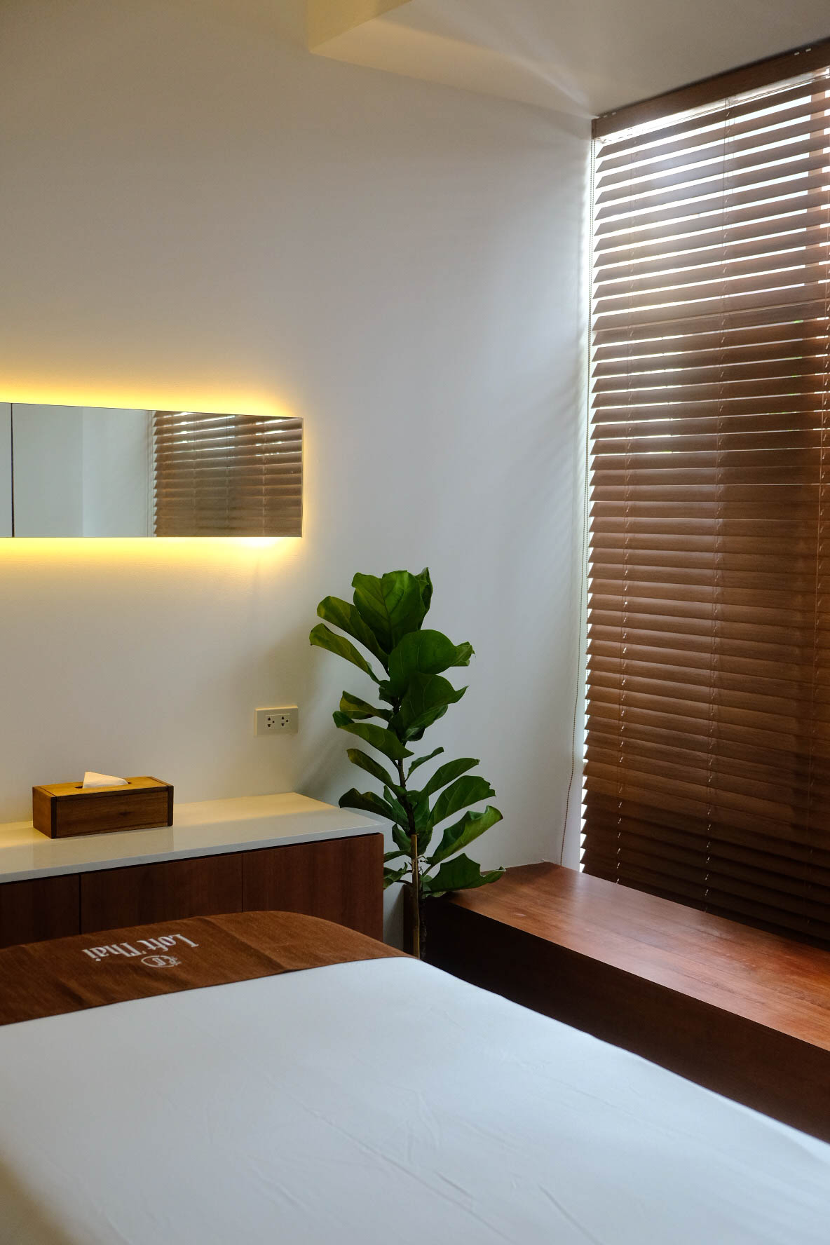 Loft Thai Spa & Wellness treatment room detail with plant and wooden blinds